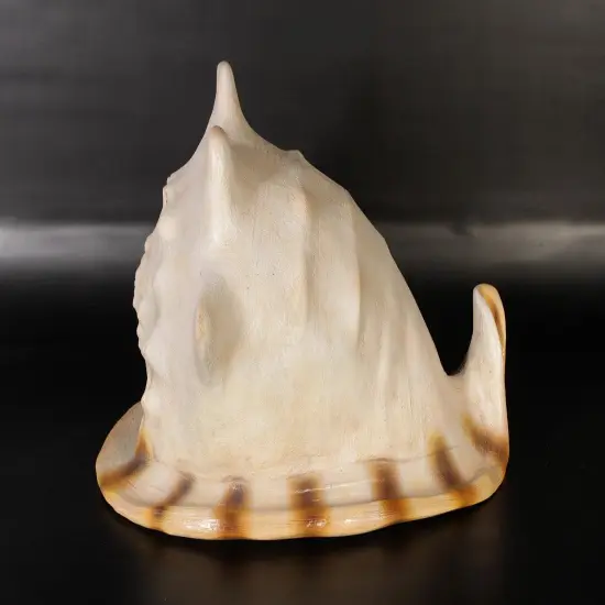 Helmet Shell Life Size Statue {3}