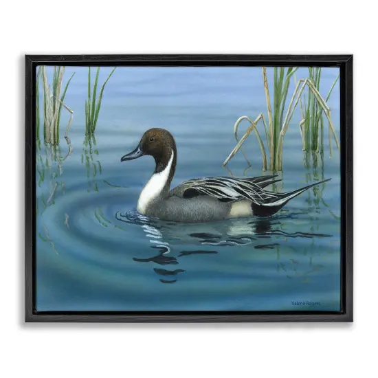 Stupell Industries Pintail Loon in Pond Floater Framed Canvas Wall Art Design by Valerie Rogers {1}