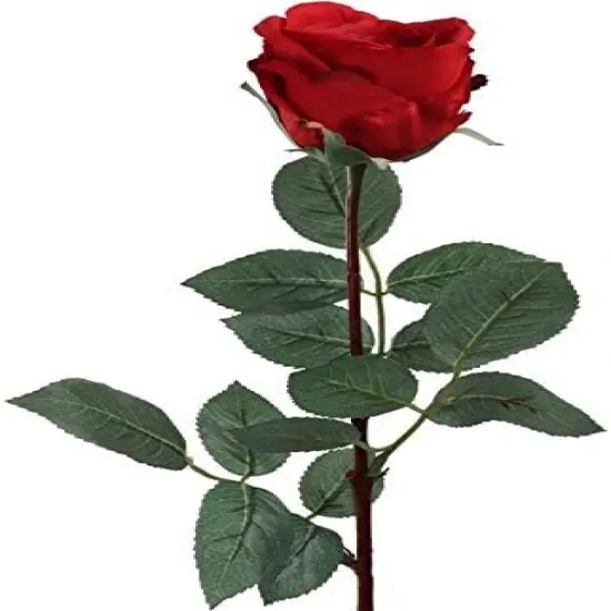 30" Premium Red Silk Rose Bud - Lifelike Bloom, Elegant Floral D&eacute;cor, Perfect for Arrangements, Events & Home Displays - Ideal for All Seasons, Floral Home by Artificial Flowers {1}
