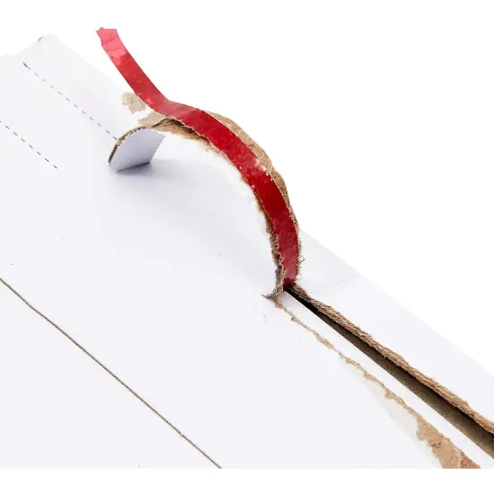 100 Pack Rigid Mailers with Self Sealing Flap, Stay Flat 9.5x12.5 Cardboard Envelopes for Shipping Documents, Magazines {5}