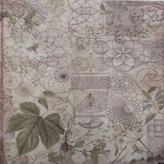 Botanical Relic Designer Printed AIDA Fabric. Canvas for embroidery with an applied backgroundKF-1263A {1}