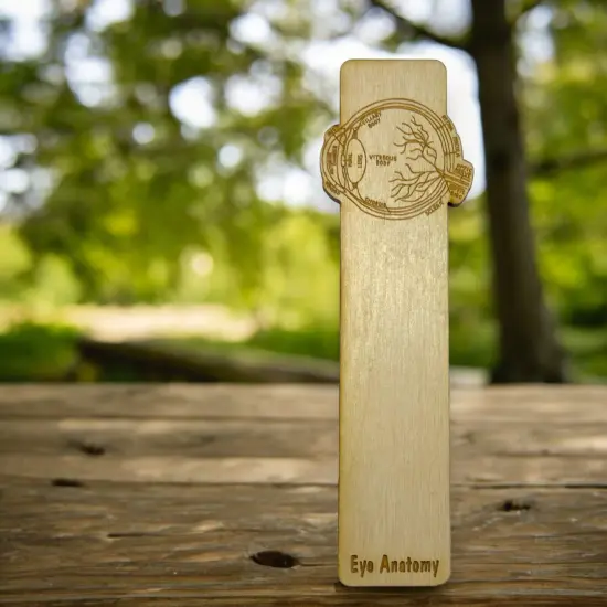 Bookmark - Eye Anatomy - Birch wood {3}