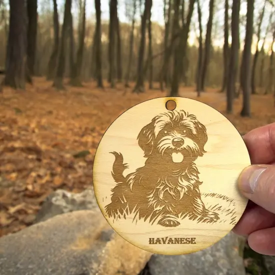 Ornament - Havanese Dog Raw Wood {6}