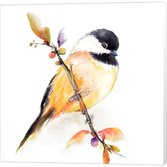 Watercolor Chickadee I by Diannart 12" x 12" Canvas Wall Art {1}