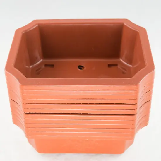 12 Rectangular Plastic Bonsai Training Pot, Cactus Planter 9.25"x 6.5"x 2.75" {1}