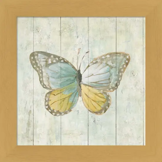 Natural Flora VI by Danhui Nai 13" x 13" Framed Wall Art {1}