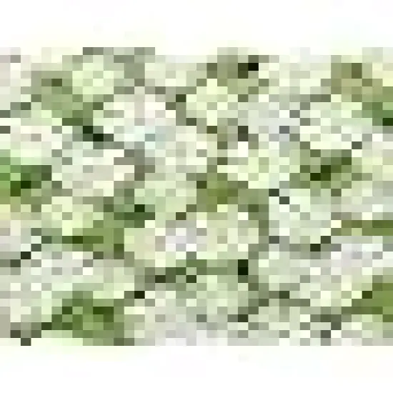 Precut Quilt Cotton Fabric Squares for Quilting Clearance {6}