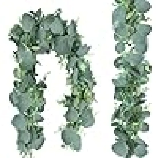 Silver Dollar Eucalyptus Leaves Hanging Vines {1}