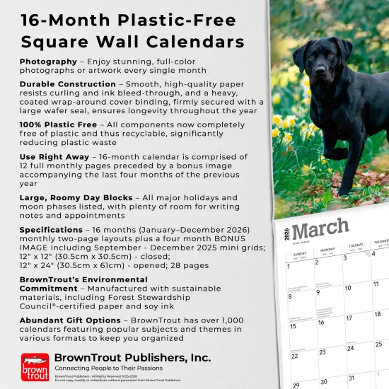 Black Labrador Retrievers | 2026 12 x 24 Inch (Hanging) Monthly Square Wall Calendar | Plastic-Free {6}