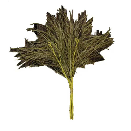 Wispy Grass Bunch {1}