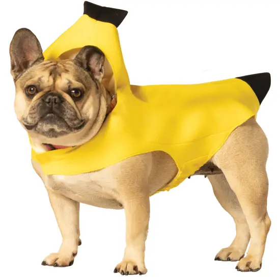 Banana Dog Pet Costume, Various Sizes XS to 3X {1}