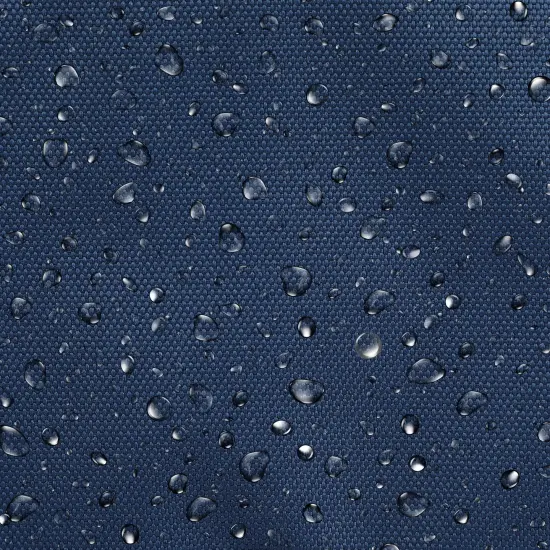 Disney Princess Backpack {4}