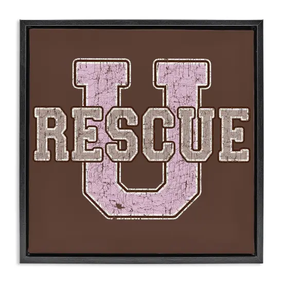 Stupell Industries Rescue U Vintage College Framed Floater Canvas Wall Art Design by Spirit Animals/Life Is High {1}