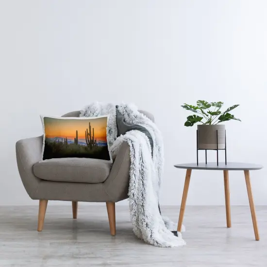 Looming Cacti Sunset Decorative Printed Throw Pillow Design by Marty Hulsebos, 14 x 7 x 20 {2}