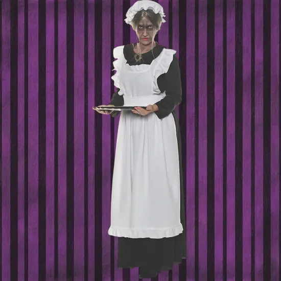 Old Maid Adult Costume with Full Length Dress and Apron {1}