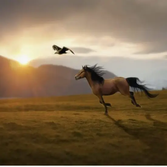 Horse and Eagle Edible Icing Image Cake cupcake topper for 1/4 sheet cake or larger {1}