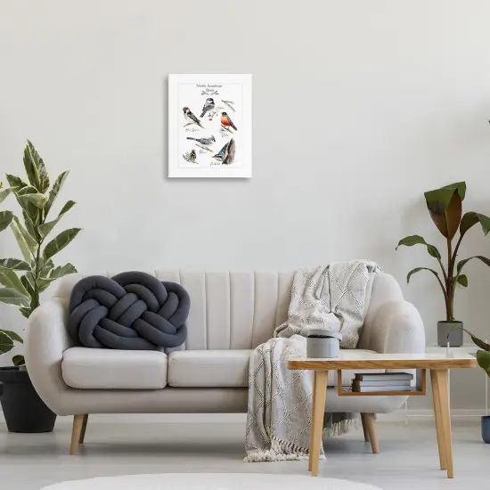 Stupell Industries North American Birds Chart Canvas By Heather Desormeaux {2}