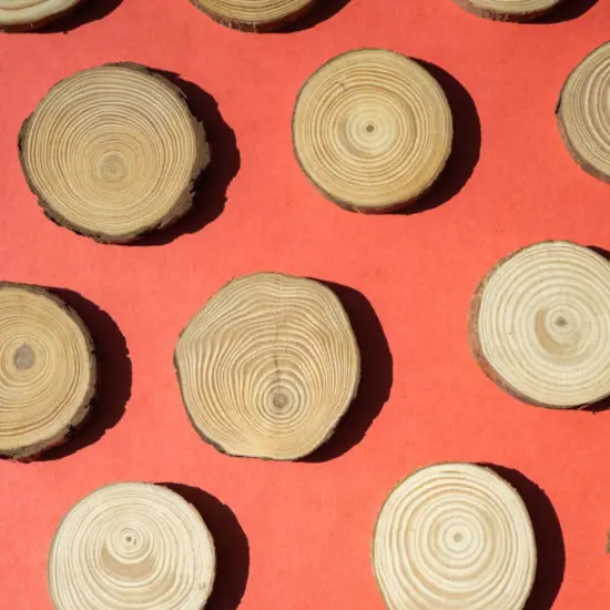 Spring Wood Slice Wreath Kit {3}