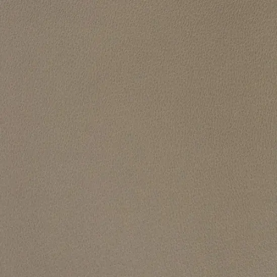 Richloom DANNON - Faux Leather Seal {2}