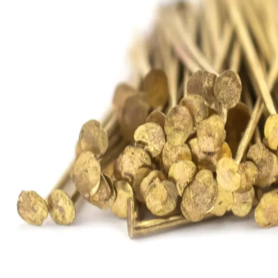 The Bead Chest Brass 21 Gauge 1 Inch Head Pins (Approx 100 pieces) {1}