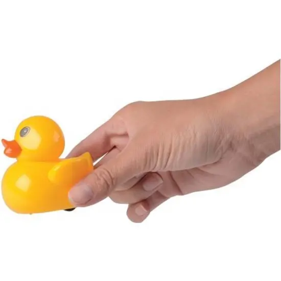 Pull Back Ducks Include 12 Units {2}