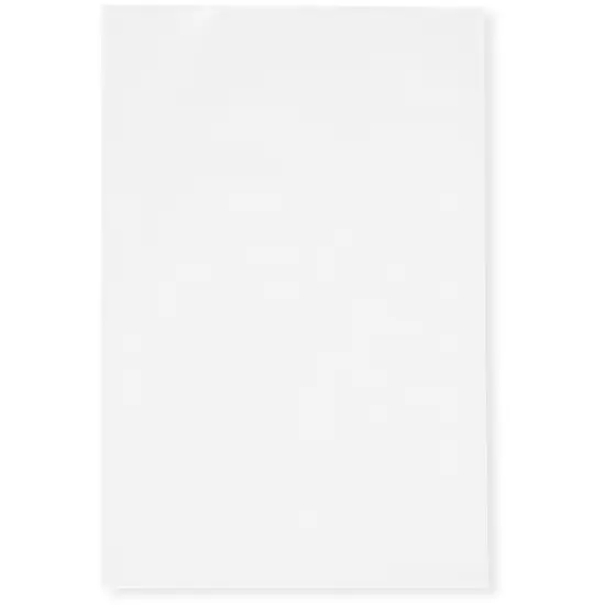 Plymor 4" x 6", White 2 Mil Flat Open Plastic Poly Bags {1}