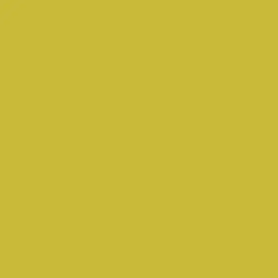 Pure Solid in Olive Oil (pe-515) | Pure Solids | AGF Studio | Art Gallery {1}