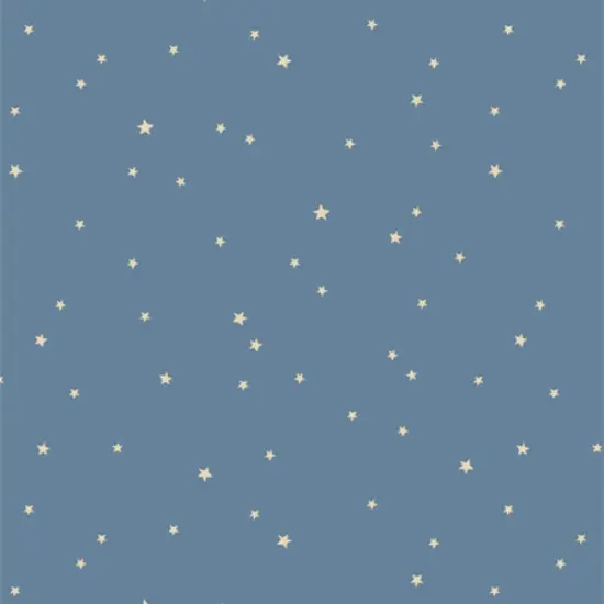 Starry Whispers in Mist (coh28901) | Coyote Hill | Katie O'Shea | Art Gallery {1}