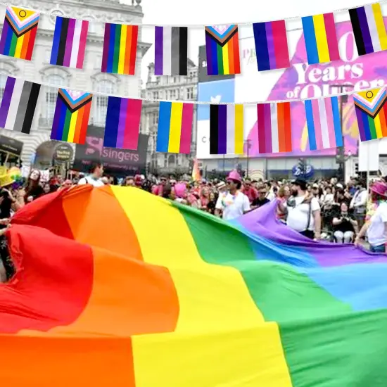 2 Packs New Intersex Progress Rainbow Gay All Pride Flags Banner String Set Small Mini LGBTQ Inclusive Bunting Flags Decoration,60 Feet 40 Flags {5}