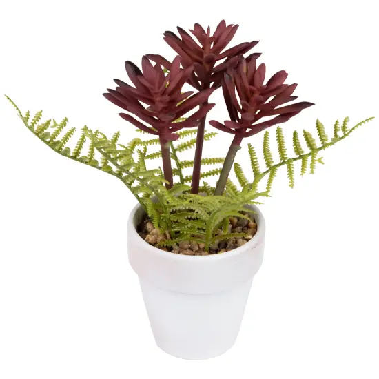 Northlight Succulent Fern in Ceramic Pot - 8" Purple {6}