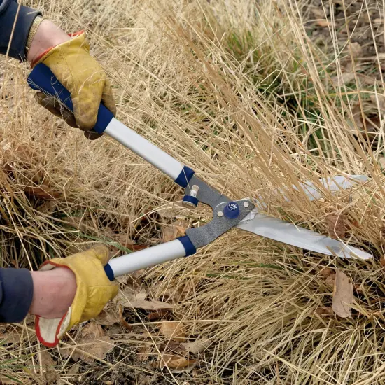 Spear & Jackson Razorsharp Notched Hedge Shears, Professional Garden Tool for Precision Trimming and Shaping, Quality Carbon Steel Blades {4}