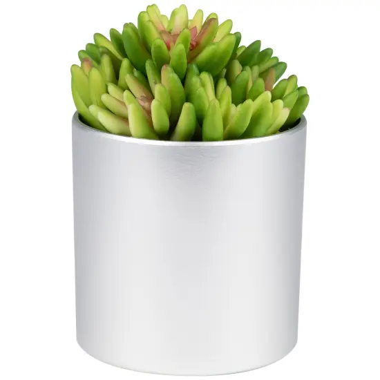 Northlight 4.75" Potted Red and Green Artificial Sedum Succulent {5}