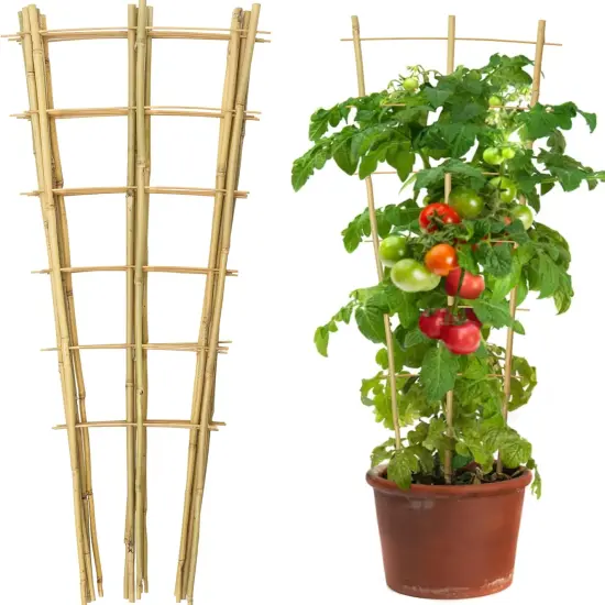10 Pack 3 Feet Natural Bamboo Trellis {1}