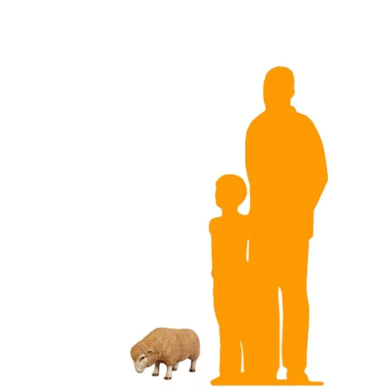 Baby Merino Ewe Head Down Life Size Statue {2}