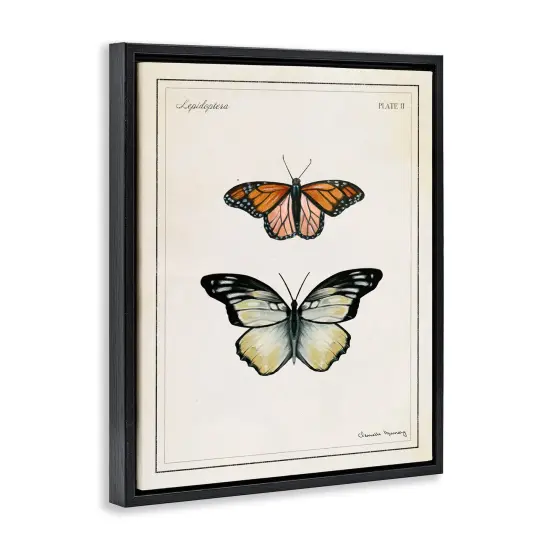 Stupell Industries Manor House Butterflies Floating Frame By Danielle Murray {3}