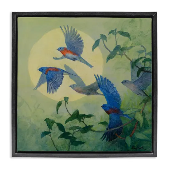 Stupell Industries Bluebird Flock over Moon Floating Frame By Floy Zittin {1}
