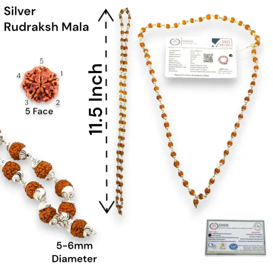 Certified Rudraksha Mala 5 Face (panchmukhi) Authentic Genuine Rudraksh Beads Rosary Japa Mala Bead Necklace Puja Prayer Meditation Beads Gold/silver Plated Mala for Men Women (1 Pcs) {4}