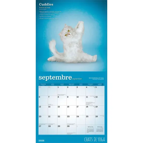 Chats de Yoga OFFICIEL | 2026 12 x 24 Inch (Hanging) Monthly Square Wall Calendar | French Language {4}
