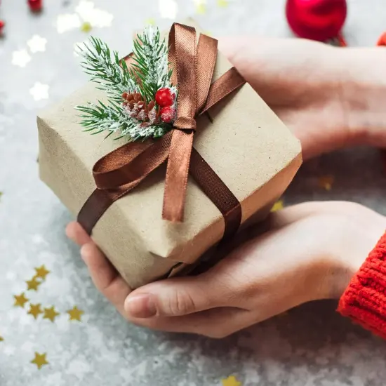 Red Berry Stems Pine Branches Artificial Christmas Picks Floral Pine Cones Faux Stems Spray Christmas Tree Picks Artificial Branches(48 Pcs) {6}