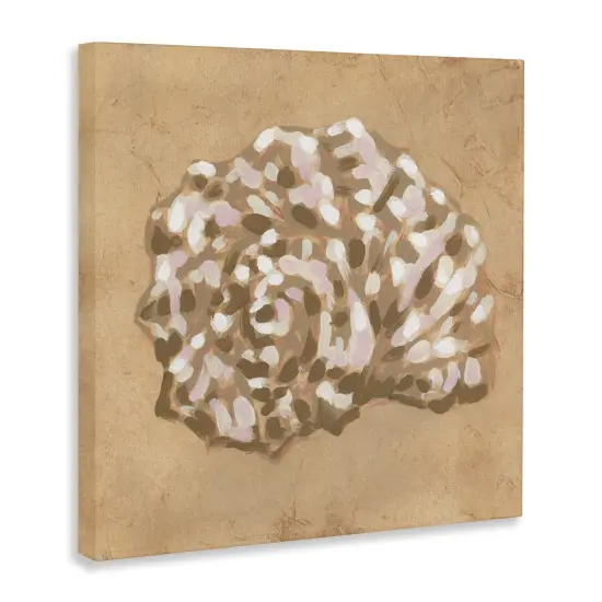 Stupell Industries Earthy Tone Seashell Canvas, design by June Erica Vess {3}