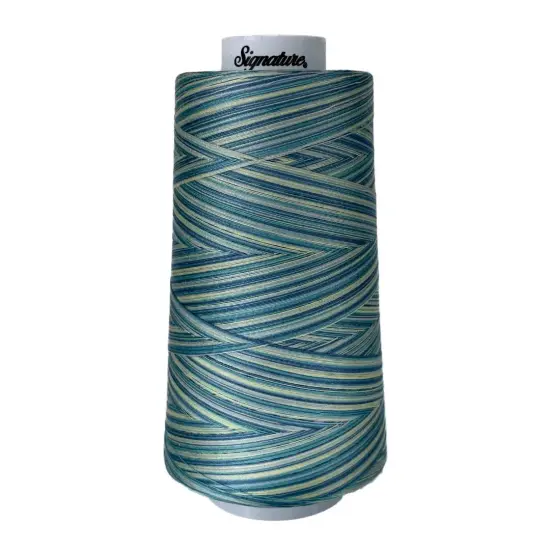 F151 St Thomas Signature Cotton Variegated Thread {1}
