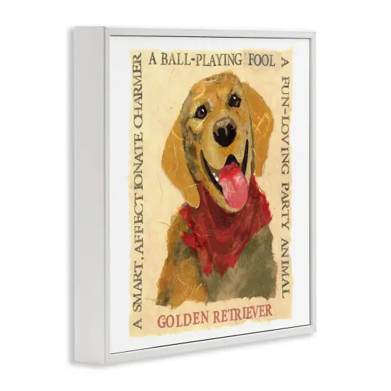 Stupell Industries Fun Golden Retriever Phrases Framed Giclee Wall Art Design by Nancy Overton {3}