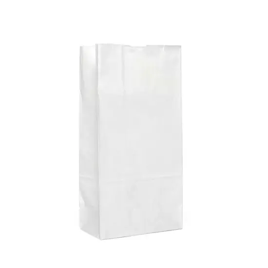 White Retail Bags 6'' x 3 5/8'' x 11'' {2}