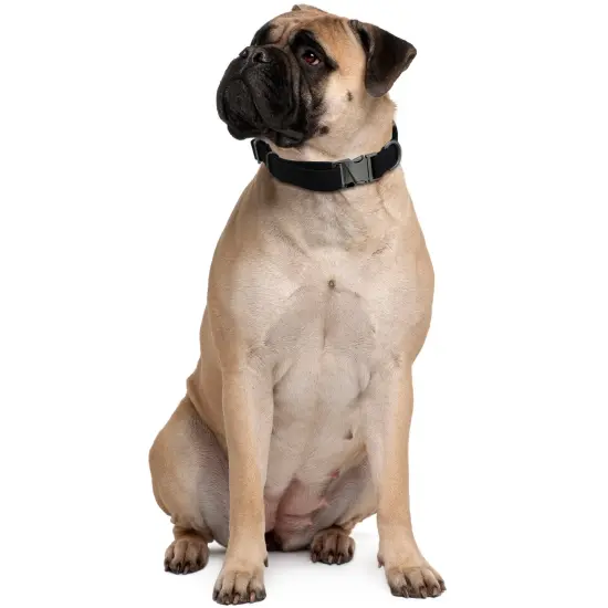 MiMu Large Silicone Dog Collar - Black 25.5in Stylish Dog Collar with Clasp Buckle {6}