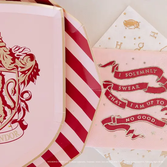 HARRY POTTER X BONJOUR F&Ecirc;TE HOUSE PRIDE SMALL PARTY NAPKINS {2}
