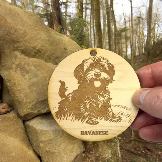 Ornament - Havanese Dog Raw Wood {5}