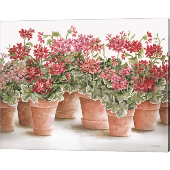 Potted Geranium Mix I by Cindy Jacobs 20" x 16" Canvas Wall Art {1}