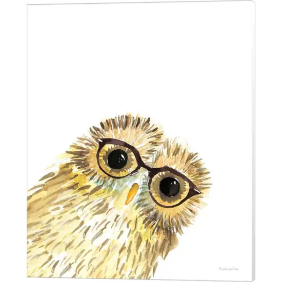 Owl in Glasses by Mercedes Lopez Charro 16" x 20" Canvas Wall Art {1}