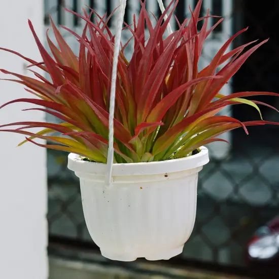 12-Piece UV-Resistant Artificial Grass Set &ndash; 17.3 Inch Faux Greenery for Home and Garden D&eacute;cor Light red & green {2}