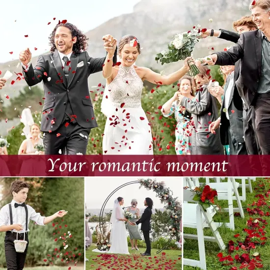 180 PCS Dried Real Red Rose Flower Petals Confetti for Wedding, 1.75oz Preserved Freeze Flower Girl Petals {4}